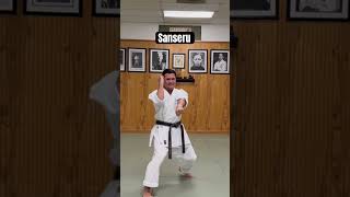 Kata Sanseru karateclass gojuryu martialarts [upl. by Caroline]