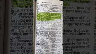 Acts 172627  Daily Scripture 2024  bible biblereading shorts [upl. by Wickham368]