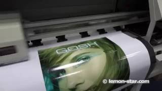 18m large digital photo printer with epson dx5 eco solvent printheads [upl. by Eilak703]