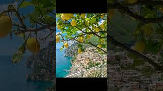 Positano Italy [upl. by Evita]