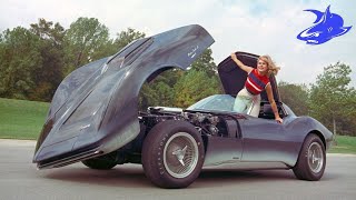 UNIQUE CLASSSIC CARS  1967 CORVETTE MAKO SHARK 2 [upl. by Jehius]