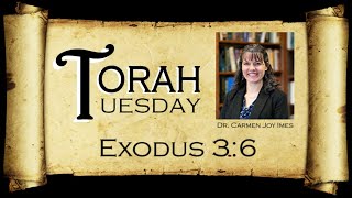 Torah Tuesday  Exodus 36 [upl. by Erdnassac]