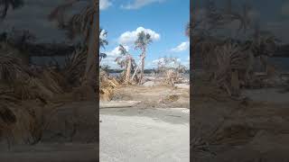 New Beach in South Venice After Hurricane Milton [upl. by Mahsih]