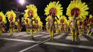 Comparsas Ritmo y Armonía · Carnaval 2014 · Santa Cruz de Tenerife [upl. by Acinoj]