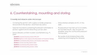 Fluorescent microscopy Counterstaining mounting and storing [upl. by Luahs]