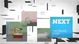 Cartoon Network  Next 2 Stupid Dogs 2011 [upl. by Sucramrej378]