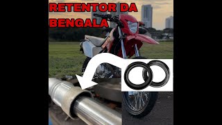 COMO TROCAR O RETENTOR DA BENGALA DA SUA MOTO [upl. by Raamal]