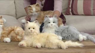 Hasbros Lifelike Joy for All Companion Cat By Hasbro on QVC [upl. by Kramer438]