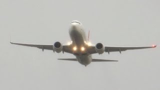 737 wing flex in crosswind [upl. by Dhu]