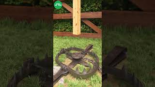 Grizzly Bear trap in action shorts trap bear [upl. by Jami705]