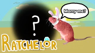 IM GETTING MARRIED  The Ratchelor [upl. by Ariad112]