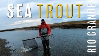 SEA TROUT in Patagonia on the Rio Grande [upl. by Llehctim]