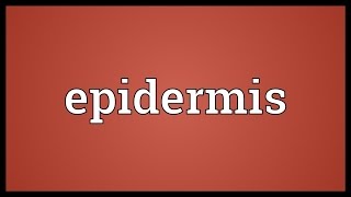 Epidermis Meaning [upl. by Maisel481]