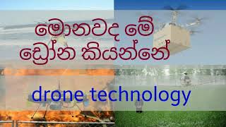 drone technology sinhalasinhala drone technology droneudamini slsl udamini [upl. by Aryamo]