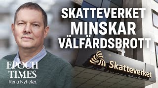 Skatteverkets storstädning minskar välfärdsbrott [upl. by Mastrianni]