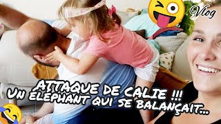 VLOG  ATTAQUE DE CALIE  🎹 Un éléphant qui se balançait 🎹😁 😂 🤣 [upl. by Wolfson546]