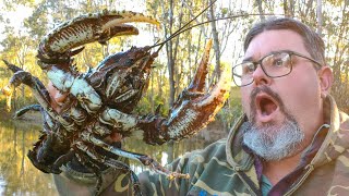 Catching MONSTER Crayfish And Murray Cod With A Secret Crayfish Bait [upl. by Hittel198]