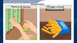 Understand Absorption and Adsorption Chemistry  Class 9 [upl. by Atirec964]