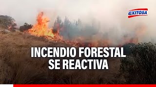 🔴🔵Chiclayo Incendio forestal se reactiva y deja una persona herida [upl. by Drofnil]