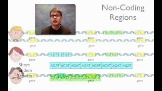 DNA Fingerprinting [upl. by Seluj]