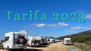 🏄‍♀️🚙🇪🇸🐕🌊🌞Tarifa in January 2023 Surf Beach surf family life Vans Vanlife 31013023 [upl. by Claybourne969]