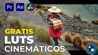 LUTS GRATIS ¿Cómo USAR LUTS en Premiere Pro  Tutorial [upl. by Aicina]