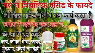 Gibberellic Acid  जिब्रेलिक एसिड क्या कार्य करता है  Plant growth Regulator  ju Gaurav [upl. by Rebane]