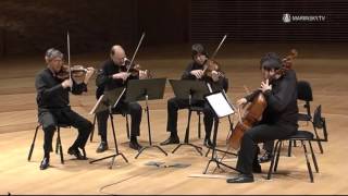 Franz Schubert String Quintet in C Major D 956 [upl. by Lisetta521]