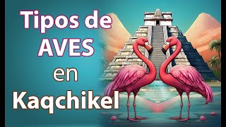 Nombres de AVES en KAQCHIKEL [upl. by Eelatsyrc390]