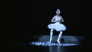 Les Ballets Trockadero de Monte Carlo  The Dying Swan [upl. by Hareehahs]