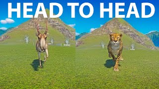 Cheetah vs Saiga A Head to Head Speed Race in Planet Zoo [upl. by Shaine]