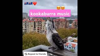 kookaburra music [upl. by Fording]