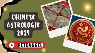 Chinese Astrologie 2025 Horoscoop en Voorspellingen voor het Jaar van de Houten Slang [upl. by Calypso]