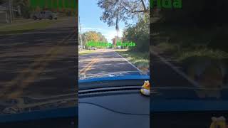 Williston Florida florida floridatowns roadtrip backroads [upl. by Acirdna950]