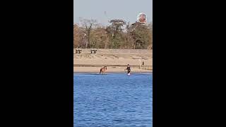 Kite surfing Lemmer beach [upl. by Danelle]