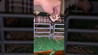 Schleich fall setup part 1 schleichshort [upl. by Denison]