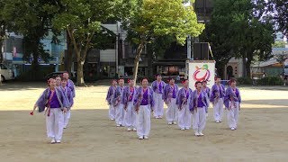 「 曽木紅葉 」どまつり2018 825土【ナディアパーク矢場公園】 [upl. by Mahmoud831]