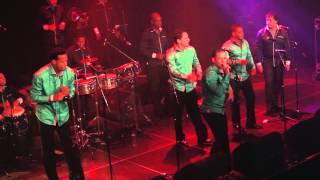 Grupo Niche  Cali Pachanguero Live in Amsterdam [upl. by Jasen676]