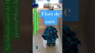 FLORI DE SARE [upl. by Allak]