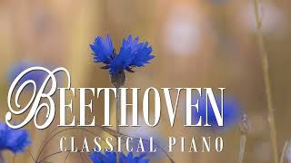 Beethoven  11 Bagatelles op 119  no 9 [upl. by Galatia]