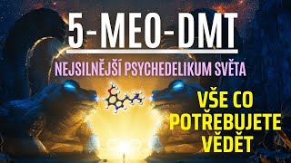 Tohle je 5MeODMT  VŠE O NEJSILNĚJŠÍM PSYCHEDELIKU SVĚTA [upl. by Ardnu]