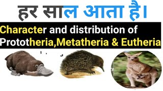 Bsc part 2 zoology general character and distribution of prototheria metatheria and Eutheria [upl. by Oigroig700]