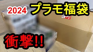 10000円のプラモ福袋を開封したら衝撃的な中身だった【フジミ2024ミリタリー福袋】 [upl. by Alian275]