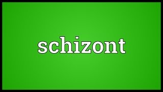 Schizont Meaning [upl. by Paddy787]