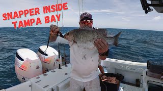 Snapper fishing Inside Tampa Bay [upl. by Myk]