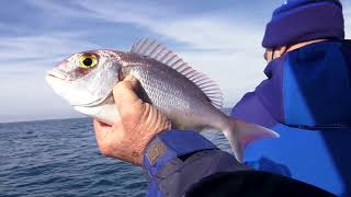 PESCA a BOLENTINO IN ZONA ARANCIO con canne da pesca in mare da barca Colmic  Pesca Dalla Barca TV [upl. by Nyliram]