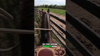 Exploring Equestrian Life on Our Ranch  Horseback Riding [upl. by Penny]