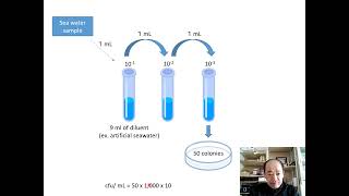 How to calculate bacterial CFU number [upl. by Abell]