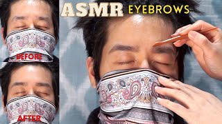 ASMR EYEBROWS Treatment  Trimming Cutting Shaping Brushing Tinting No Talking [upl. by Airamak]