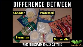 Difference bw Mozzarella Processed Cheddar amp Parmesan Cheese  चीज़ के प्रकार  Everyday LIfe 47 [upl. by Buffy]